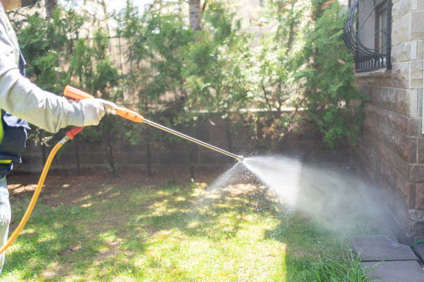 Reliable Bremen, GA Pest Control Solutions